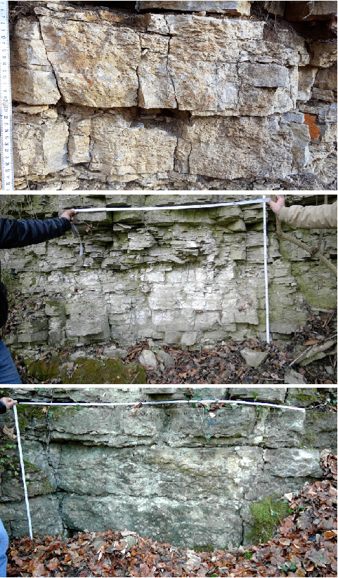Different types of fracture networks on outcrop-scale