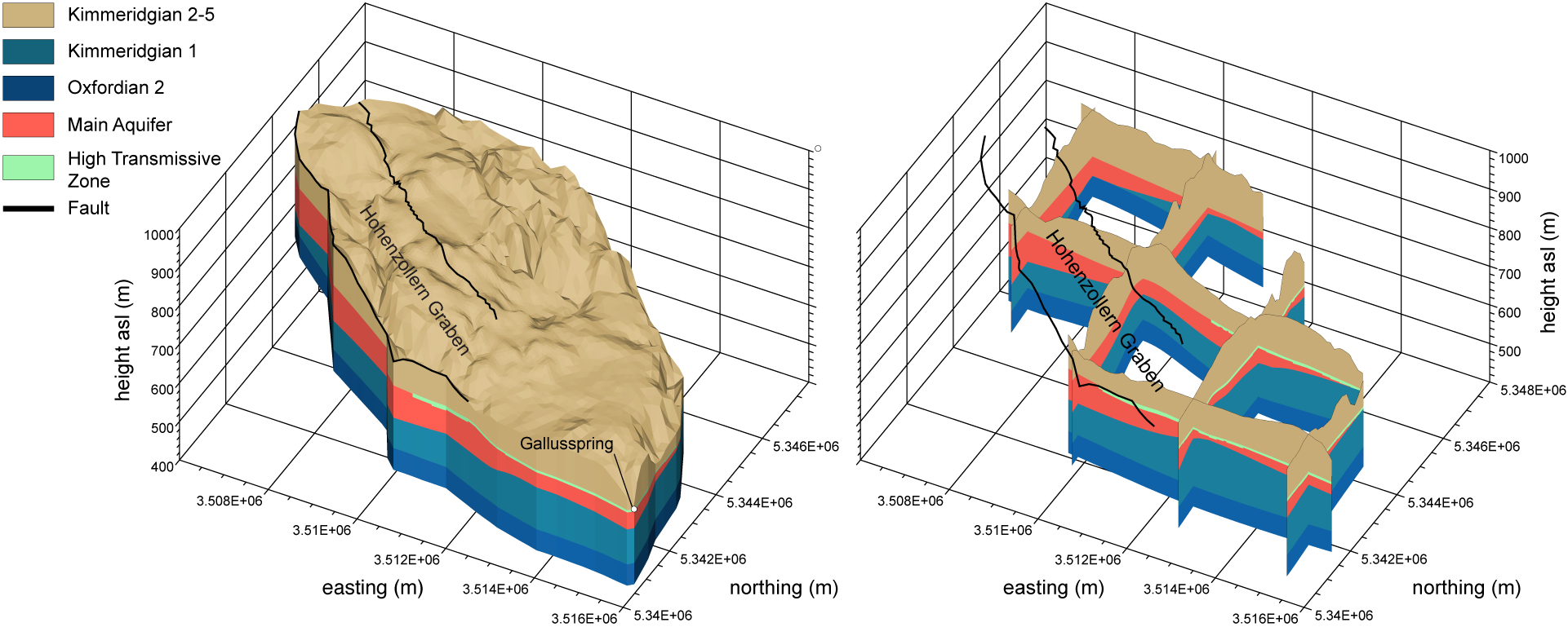 Double-continuum 3D model of the Gallusspring, Germany.