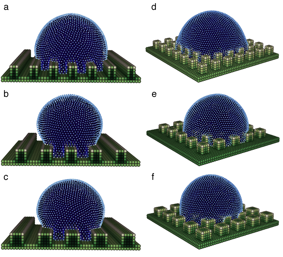 SPH simulations and effects of roughness on contact line dynamics