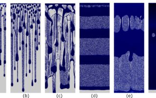 Numerical SPH simulations of gravity-driven flow instabilities in rough fractures (Shigorina et al. 2019)